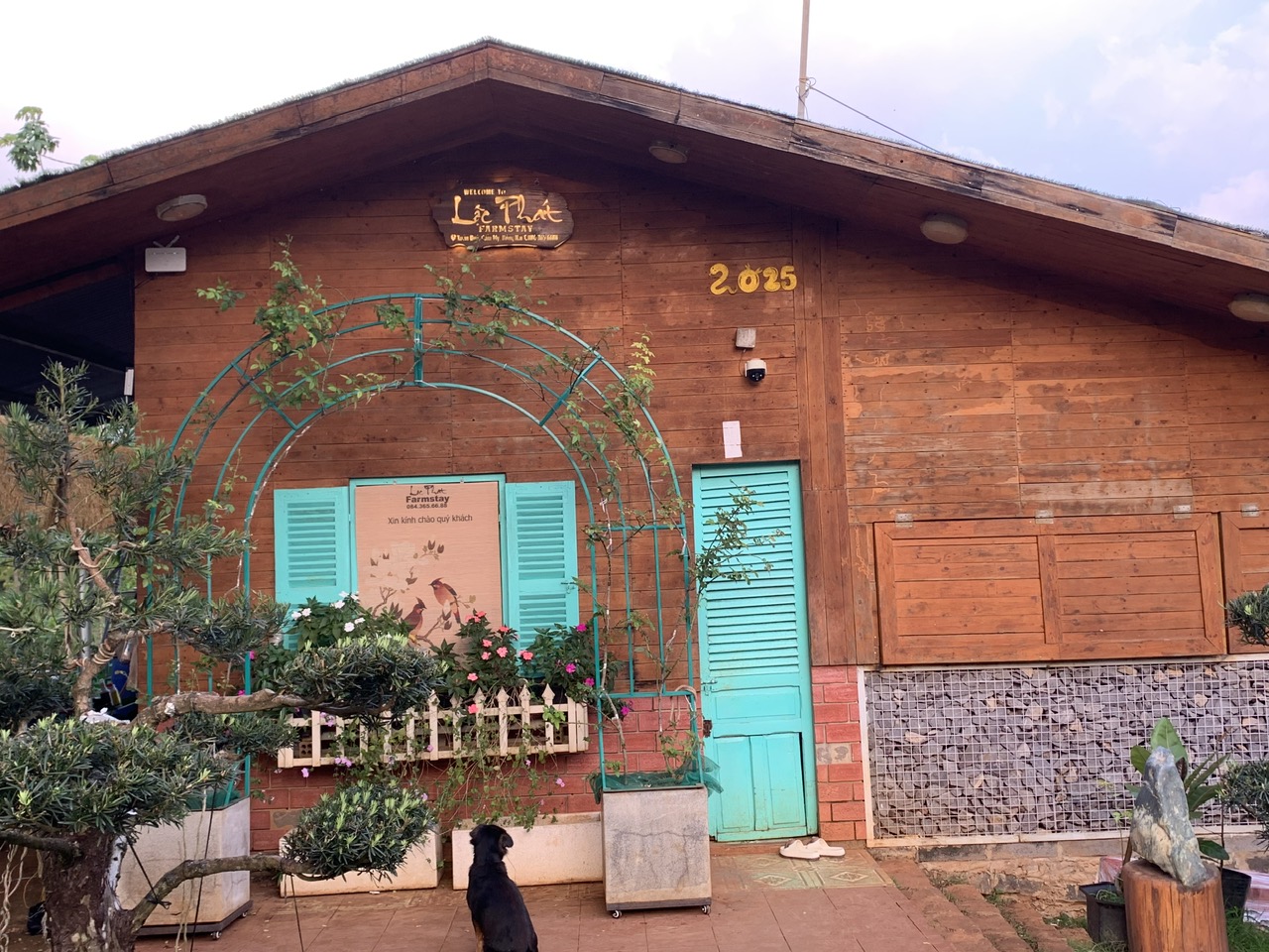 Nhà gỗ sinh thái